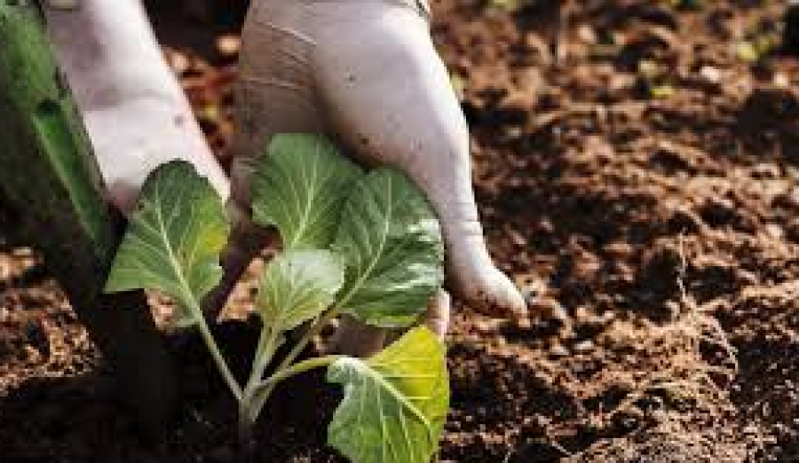 Argentina fue precursora de estas disciplinas en toda Latinoamérica.