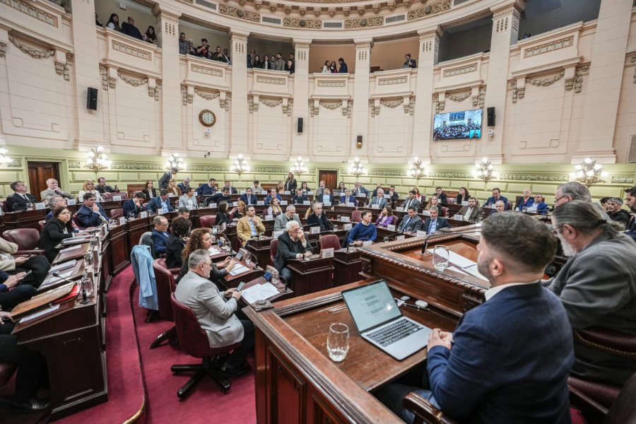 La Convenci&oacute;n Reformadora sesion&oacute; este jueves por la tarde en la Legislatura. (FOTO PRENSA CONVENCI&Oacute;N)
