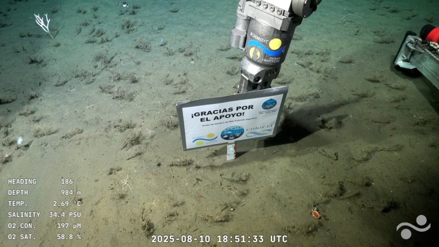 El cartel de agradecimiento al finalizar.