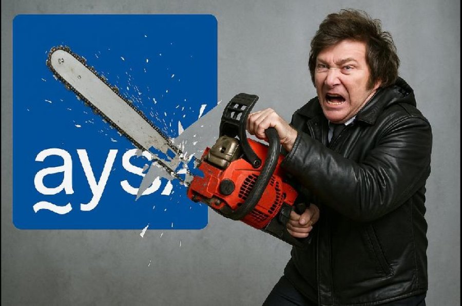 NUEVA PLATAFORMA DIGITAL. El gobierno nacional lanzó Mercado Libre estatal para privatizaciones de empresas del Estado.