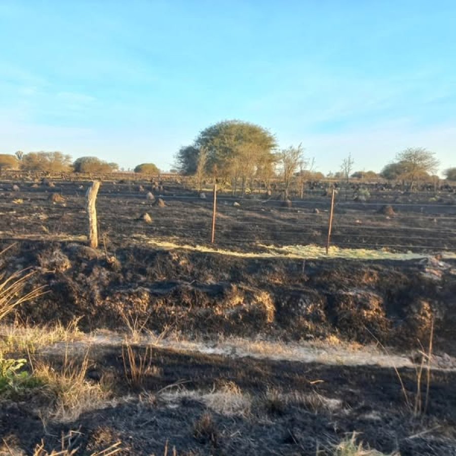 Así quedó el área rural afectada por el incendio.
