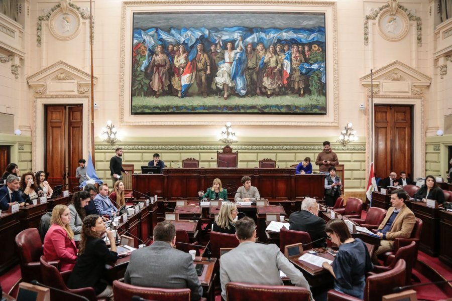 EN LA LEGISLATURA. Los convencionales continuaron evaluaron distintos aportes y proyectos que buscan incorporar o actualizar estos derechos en la futura Carta Magna provincial.