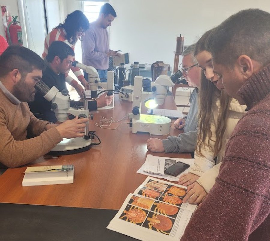 La mayoría de los asistentes son agentes sanitarios de SENASA.