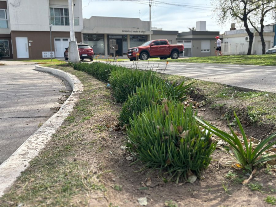 MANTENIMIENTO. Los trabajos se concentraron en la rotonda ubicada en la intersección de Bv. Hipólito Yrigoyen y Fader, y en la de avenida Fanti, frente al Anfiteatro.