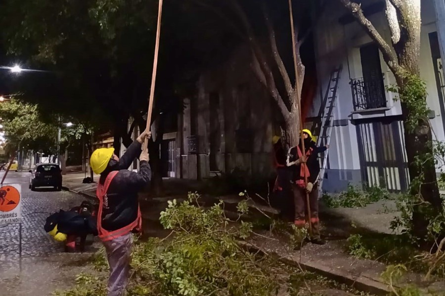 Esta semana el operativo concluyó en barrio Juan de Garay.