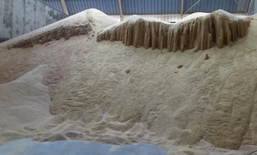 PREOCUPACIÓN. La medida de EE.UU puede tener impacto directo en las exportaciones argentinas.