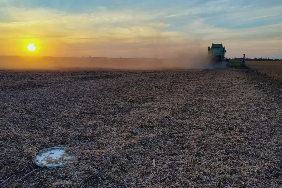EFICIENCIA. Los ensayos realizados mostraron resultados sorprendentes.