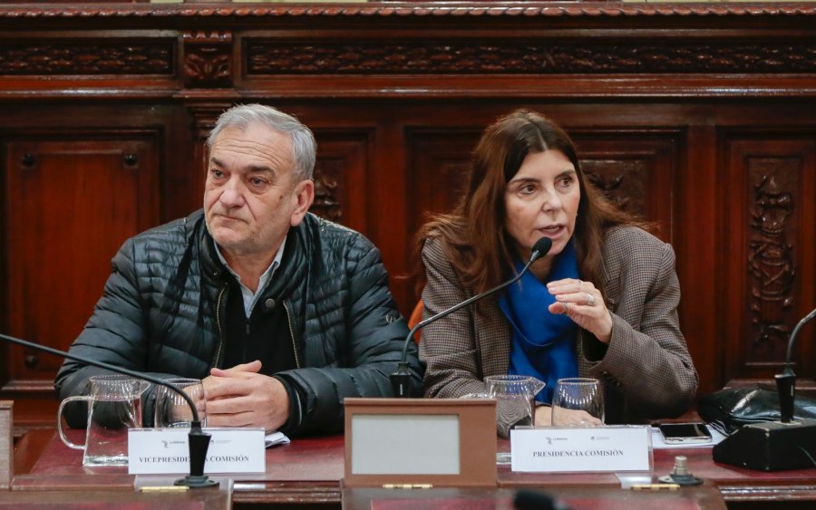 PLENARIO. Los 69 convencionales están convocados para este viernes en la Legislatura.