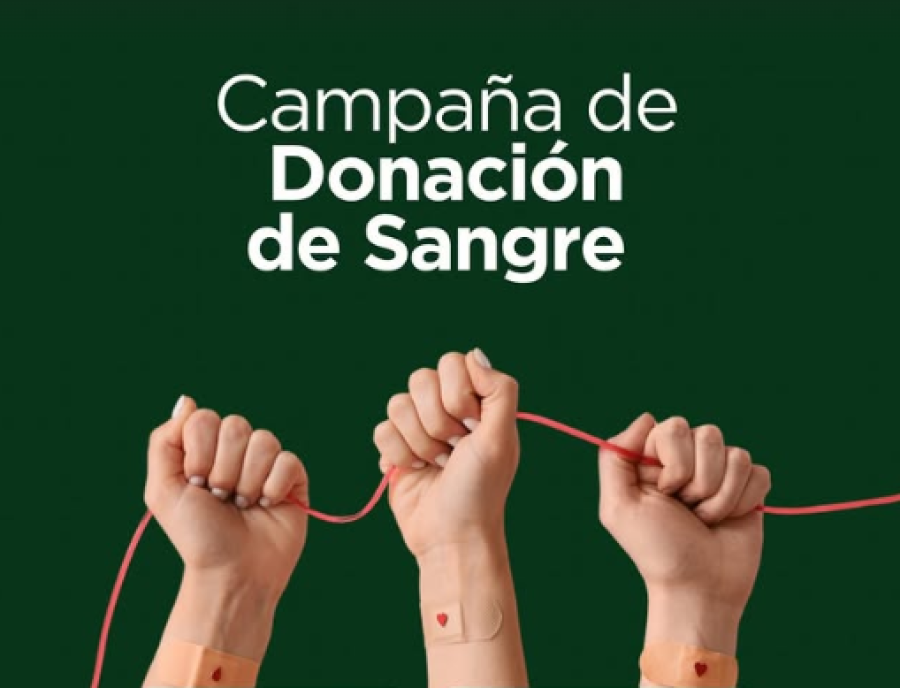 Se puede participar en distintos horarios y se recomienza desayunar o almorzar con regularidad.