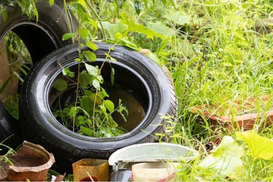 La prevención comienza en casa y es responsabilidad de todos.