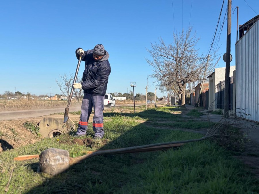 El Plan de Forestación 2025 tiene como objetivo fortalecer tanto los espacios verdes como las áreas urbanas.