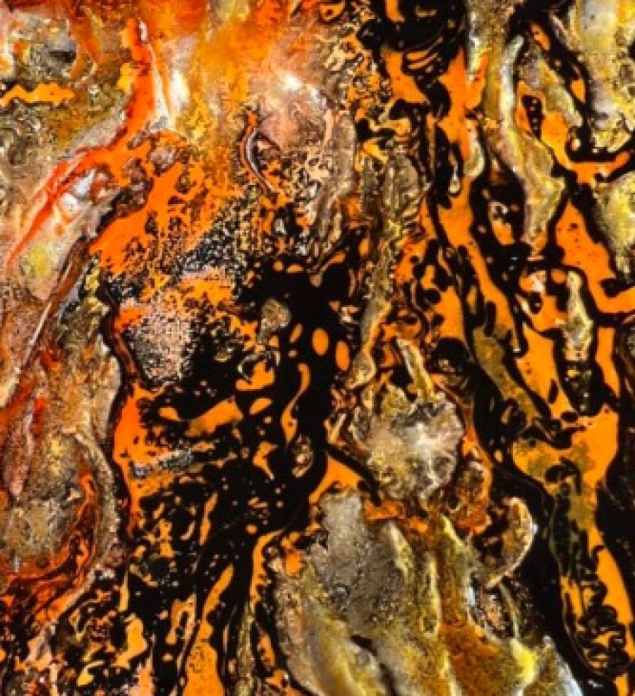 La muestra se inagurará en el Hotel Parra.