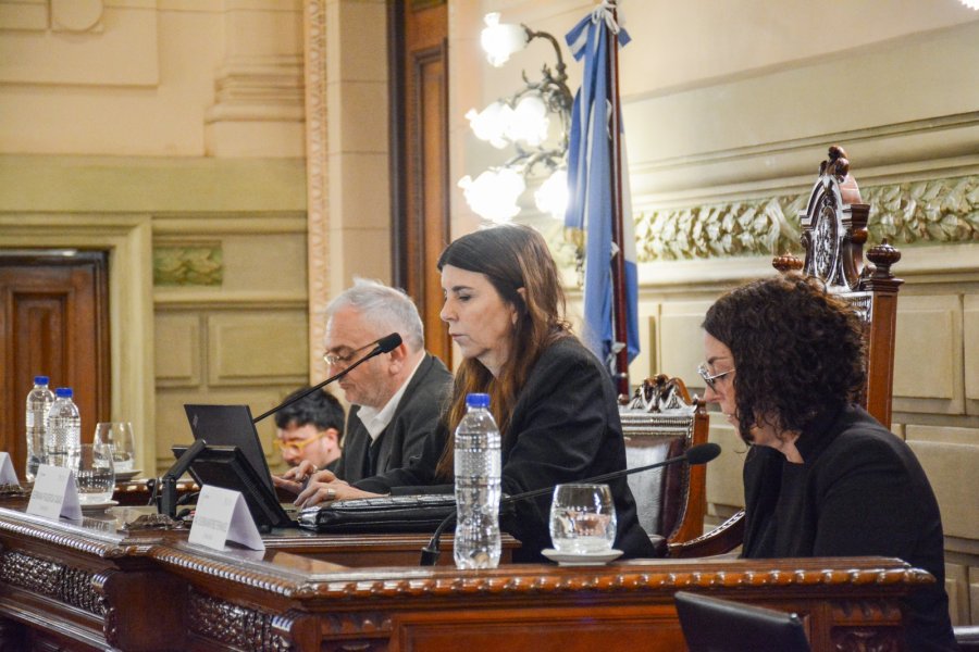 La Comisión de Funcionamiento del Estado y Participación Ciudadana emitió 11 dictámenes, entre ellos el vinculado a la seguridad social y el régimen jubilatorio provincial.