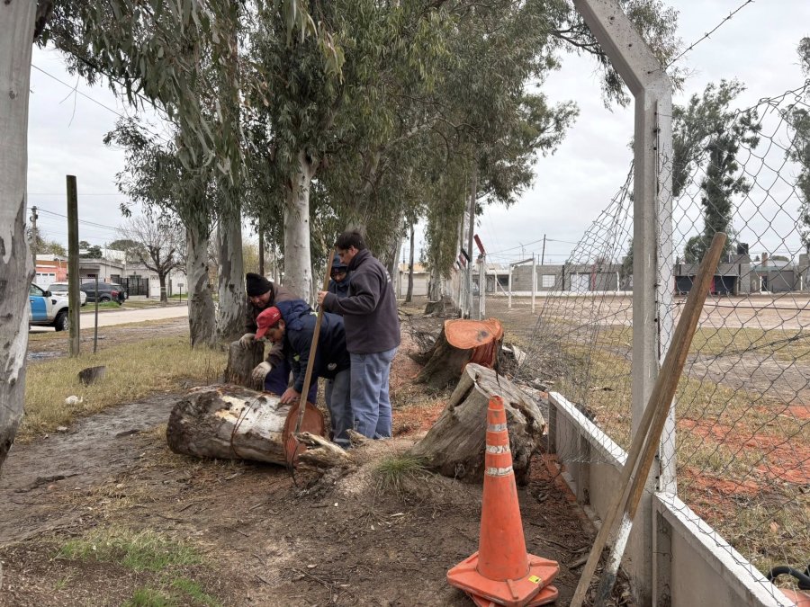 Operarios municipales trabajando en la institución deportiva.