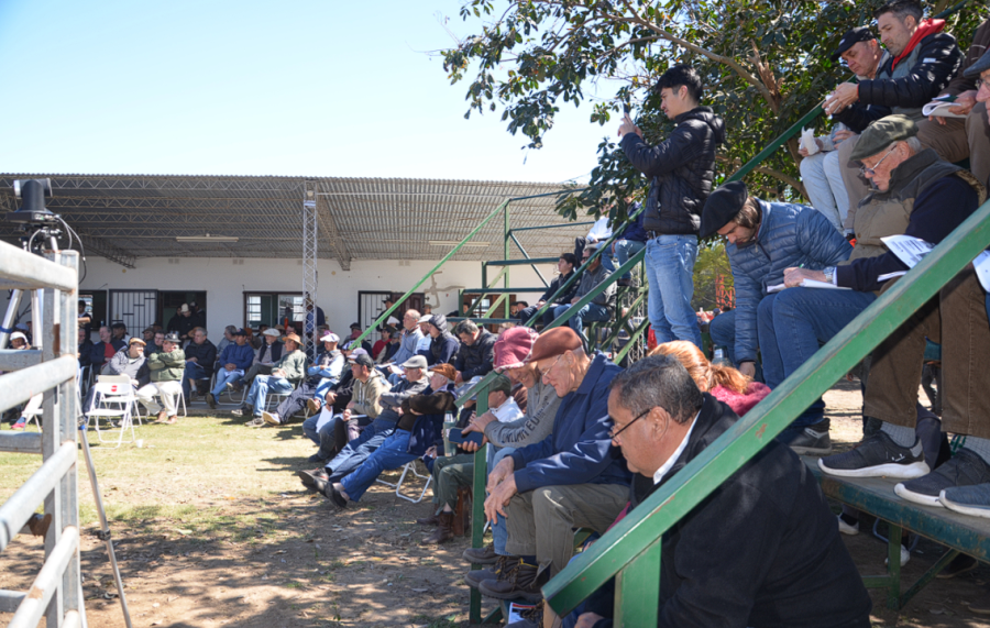 CITA. El próximo lunes, Romang será testigo de un evento bien ganadero.