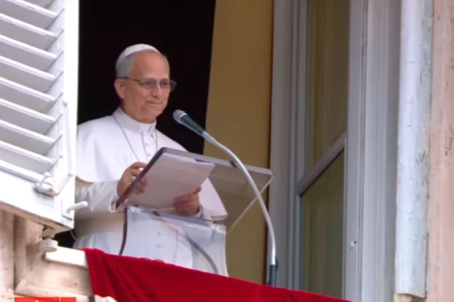 El Sumo Pontífice esta mañana en el Vaticano.