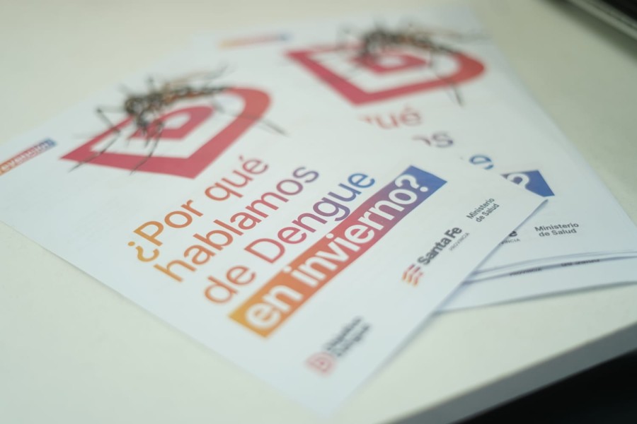 Día internacional de lucha contra el dengue.