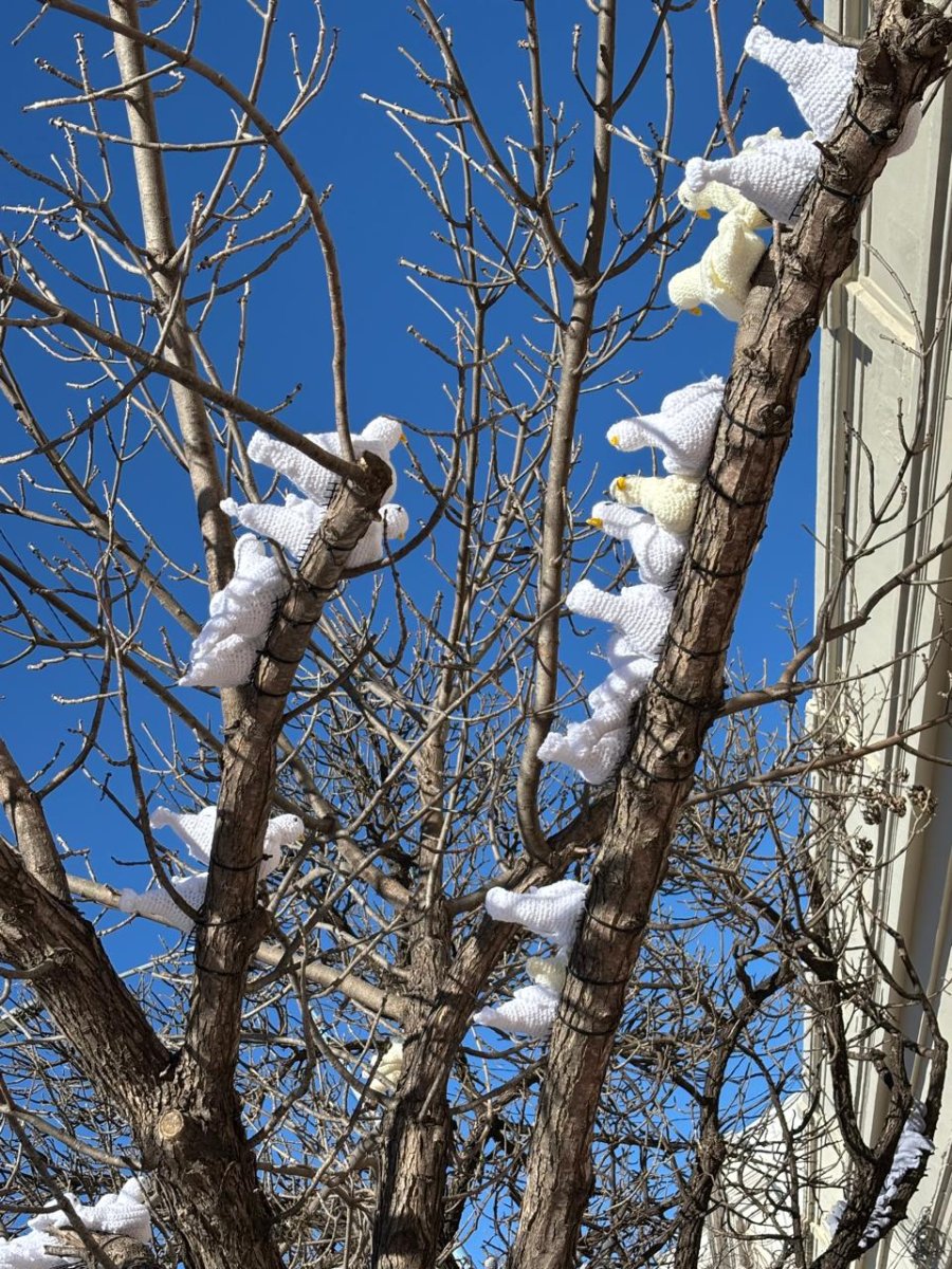 Intervención artística de Bomba de Lana.