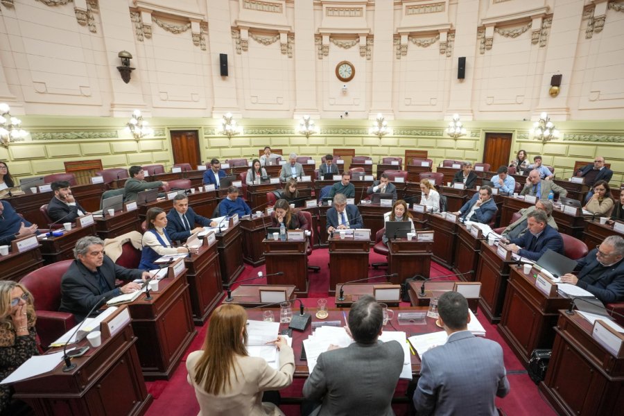Los convencionales que integran la Comisi&oacute;n Redactora en el recinto de la C&aacute;mara de Diputados. (PRENSA CONVENCIÓN)