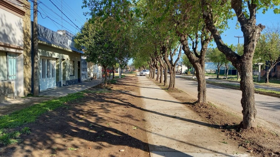 La inversión para las tareas que se desarrollan en un tramo de seis cuadras de la arteria superan los $ 100 millones.