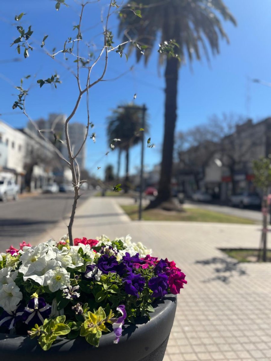 Rafaela ya empieza a palpitar la primavera.