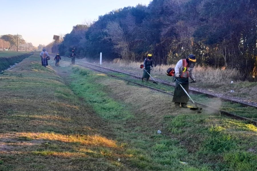 Plan de mantenimiento de espacios verdes.