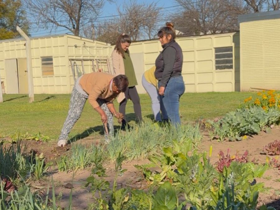 Fomentar la autoproducción de alimentos, la agroecología y el compostaje en la ciudad.