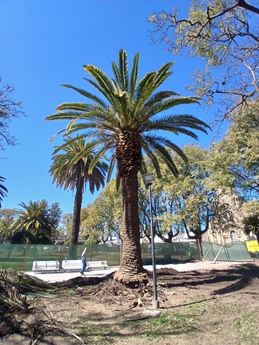 LABORES DE LIMPIEZA. El municipio local continúa con el plan de renovación y puesta en valor de la Plaza 25 de Mayo.