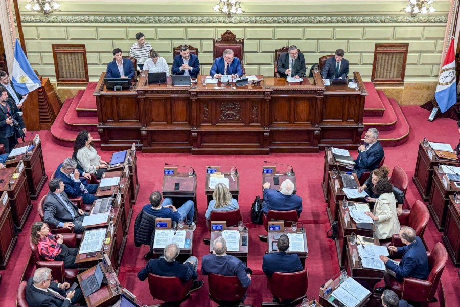 Se trata de los primeros textos definitivos que formarán parte de la nueva Constitución provincial.