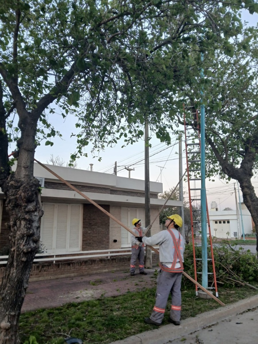 La ciudad refuerza su compromiso con la seguridad, el orden y el cuidado del patrimonio verde.