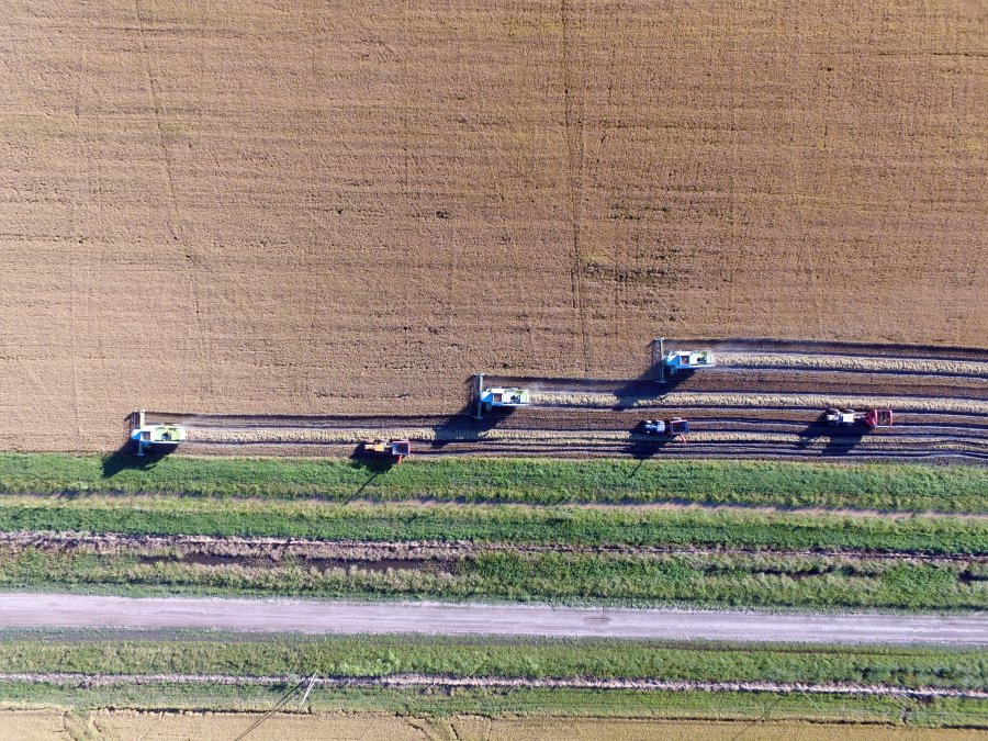 INCERTIDUMBRE. Las empresas agrícolas deben definir estrategias para surfear la ola.