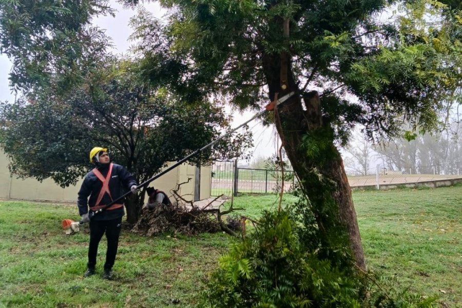 DESMALEZADO. El municipio local avanza con los trabajos de preparación de los espacios que recibirán las competencias de los Juegos Argentinos de Alto Rendimiento.