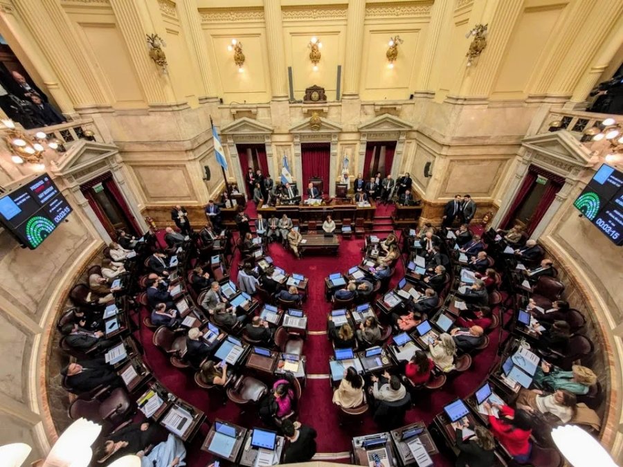 SENADO. Los legisladores durante el debate del veto de la emergencia en discapacidad.