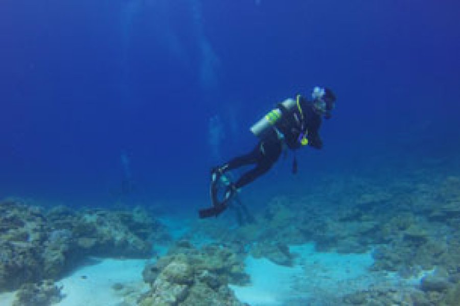 La práctica de buceo se realiza con diversas finalidades: profesional, recreativa, turística, científica.