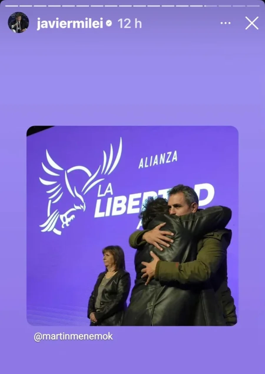 Javier Milei y Martín Menem.