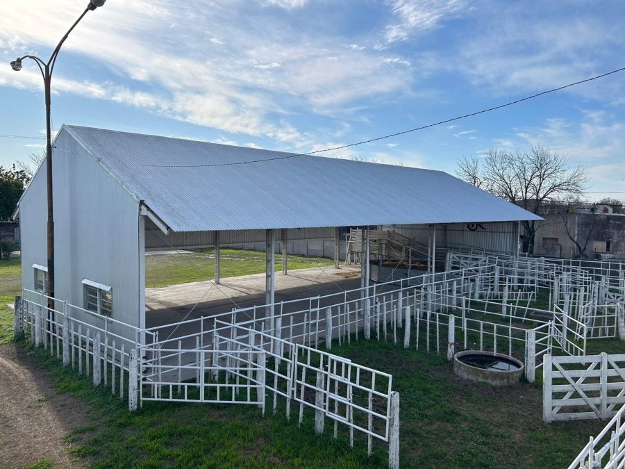 VENTAS. Las instalaciones para los remates signficaron una inversión muy importante y necesaria.