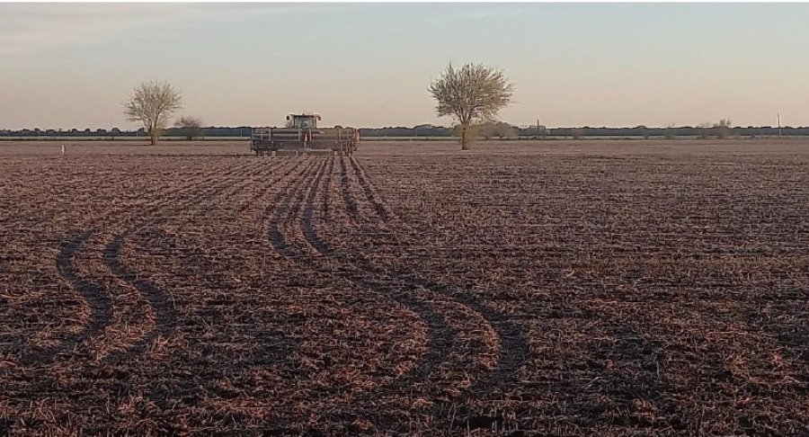 LARGARON. El clima y la humedad en los suelos permiten arrancar la siembra gruesa de manera óptima.