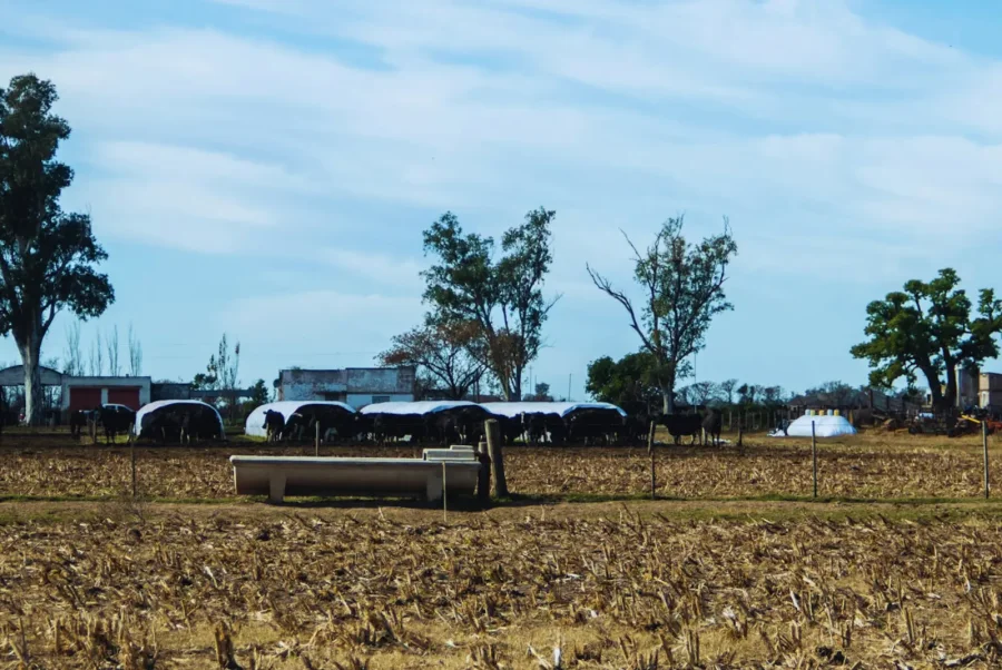 PLANIFICACIÓN. A partir de estrategias, el modelo aplicado en Tambo Roca es para imitar.