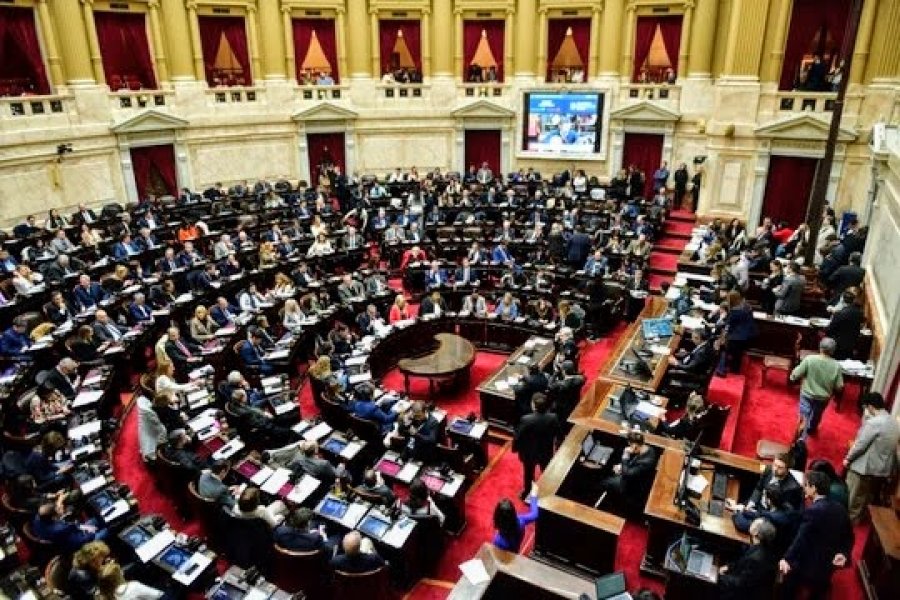 DIPUTADOS. Quieren declarar la emergencia en el Garrahan y aumentos para Universidades.