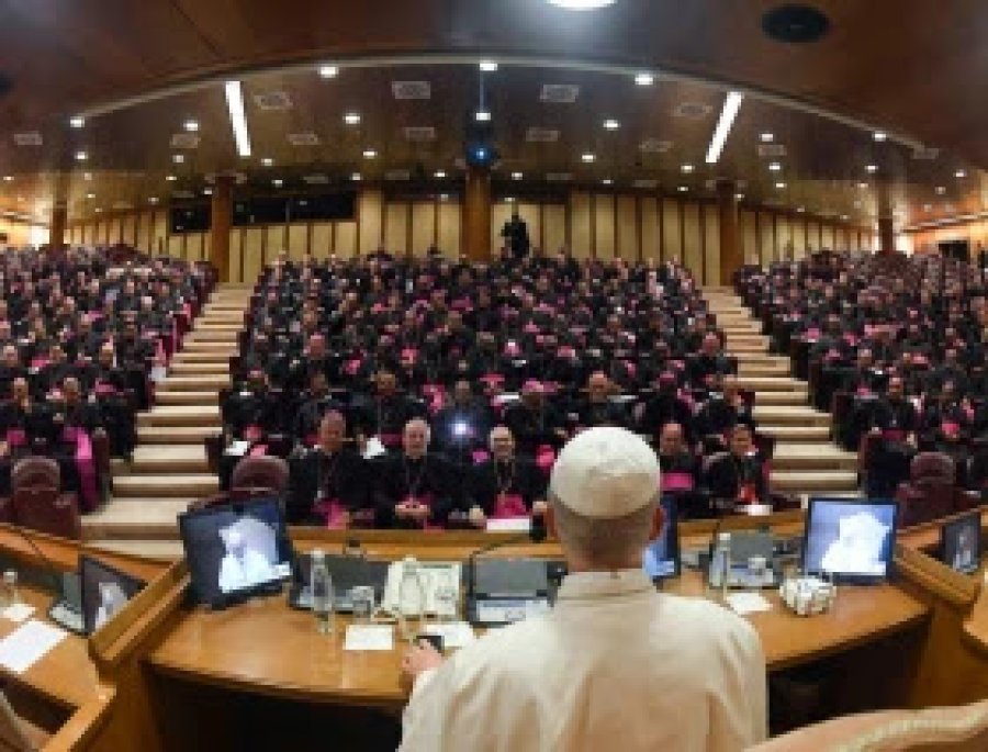El Papa durante su encuentro de ayer con los Obispos.