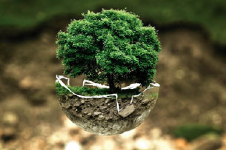 Un esfuerzo internacional conjunto permitió la eliminación y reducción del uso de estas sustancias que agotaban la capa de ozono y en la actualidad se ha reducido considerablemente la radiación .ul