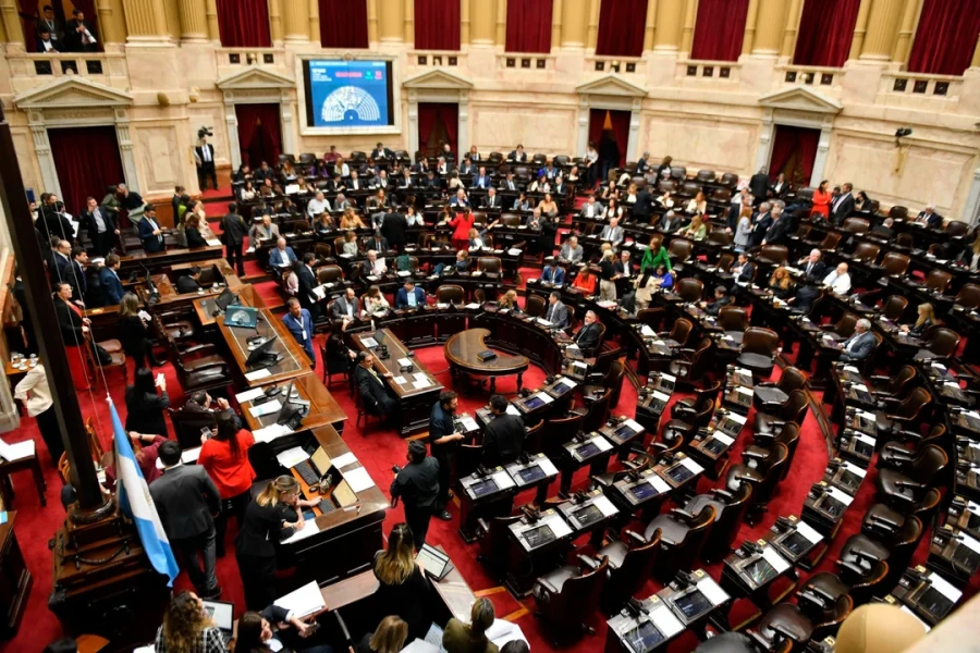 Diputados debate el rechazo a los vetos de Garrahan y Universidades.