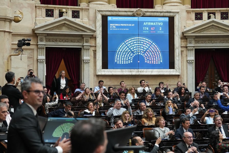 CONTUNDENTE RECHAZO. La Cámara Baja se pronunció contra los vetos de Milei. Ahora deberán ser tratados en el Senado.