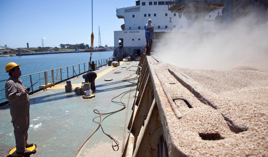 IMPARABLE: A pesar de todo, las ventas al exterior se mantienen firmes y el agro es actor principal.