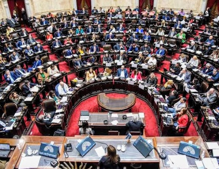 DIPUTADOS. Rechazó vetos a Emergencia del Garrahan y Financiamiento Universitario.