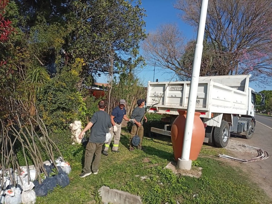 Operarios municipales laborando con las especies recibidas.