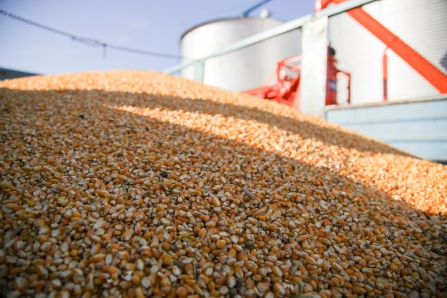 RÉCORD. En tan solo 72 hs. se registraron DJVE por u$s 7.000 millones.