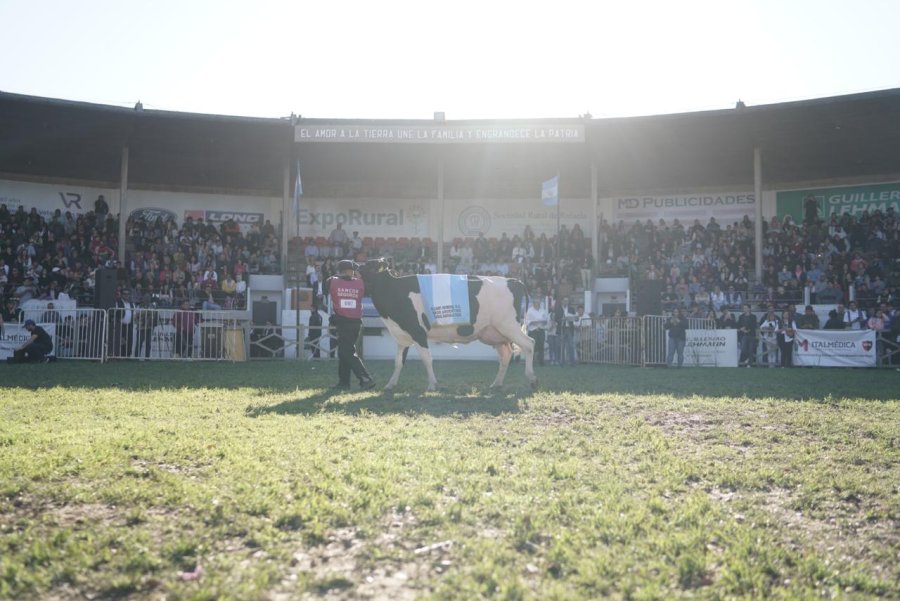POSTAL. Una imagen que resume todo: campo y ciudad volvieron a verse las caras.