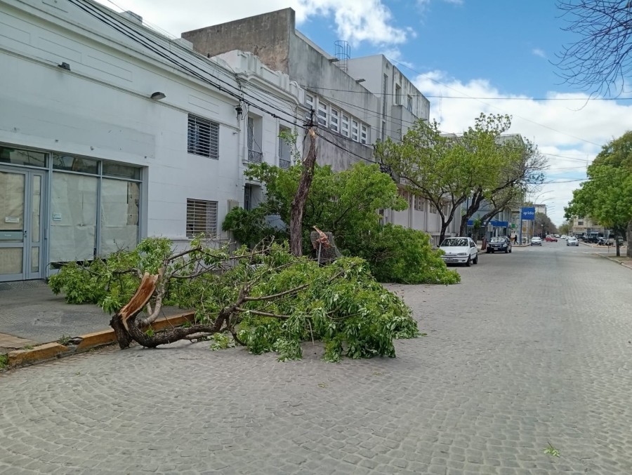 También hubo cortes de luz en barrios de la ciudad.