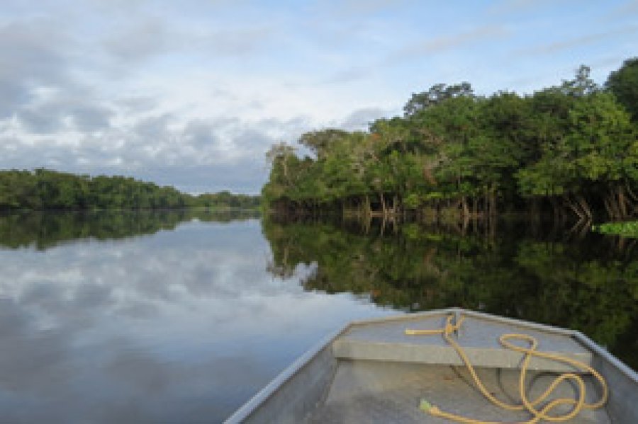 Creada con la finalidad de visibilizar la importancia de conservar y proteger los ríos, así como destacar su impacto en ecosistemas, flora y fauna que rodean a estos espacios naturales.